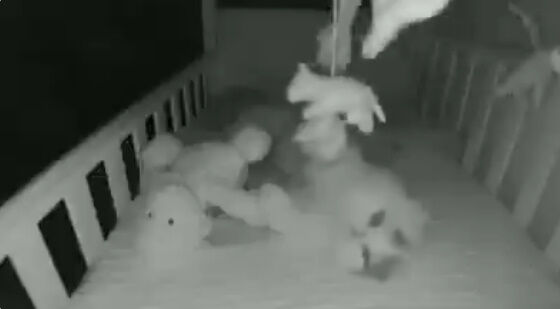 �Ҷ��������֤���󡡥٥ӡ���˥������������á����Ρ�ǭ�˴�Ϣ��������-02