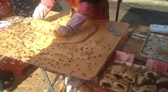 ���桡˪�˴�Ϣ��������-01