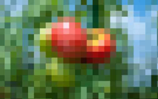 fda34ce1.png