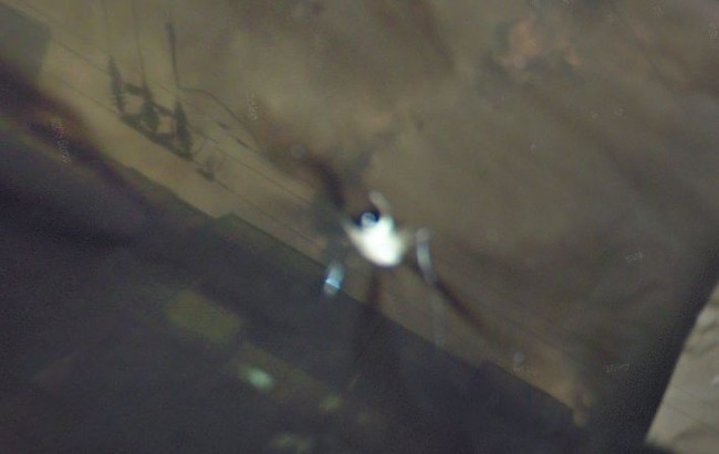 ȥ꡼ȥӥ塼ʡݡ̡ܶ˴Ϣ-05