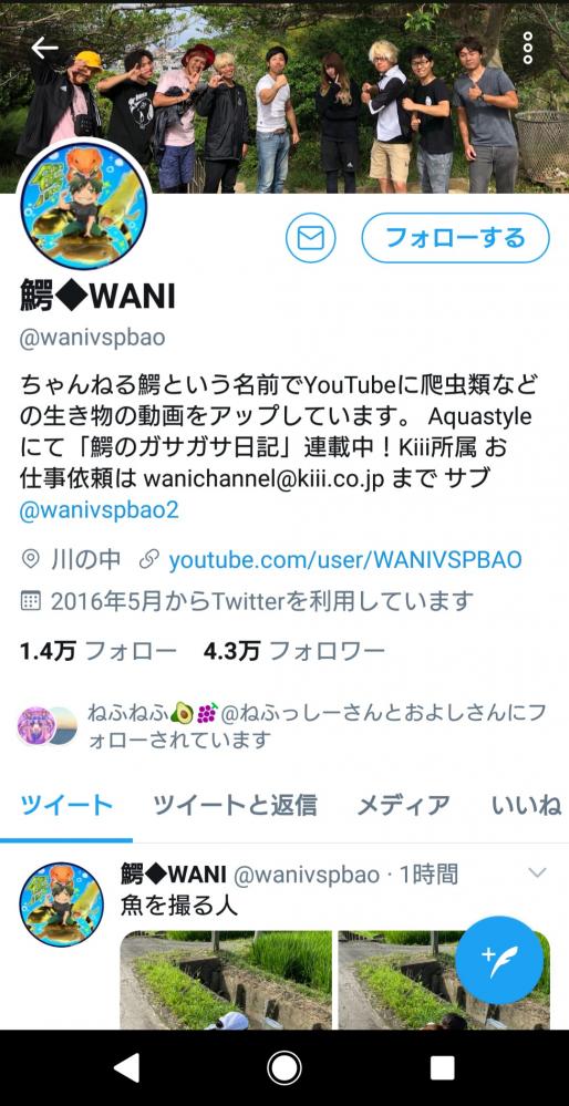 動物 YouTuber 猫 自演に関連した画像-08