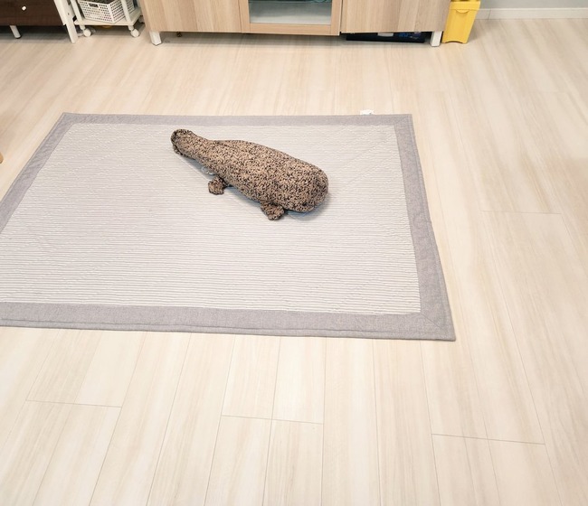 夫 妻 オリックス 株 株主優待 肉 ハム 魚 刺身 サンショウウオ ぬいぐるみ に関連した画像-02