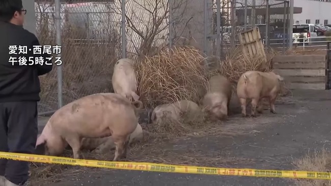 �֥���æ���������桡�ȥ�å�����ƻ�������쥤�󥿡��նᡡ���θ������Ԥ˴�Ϣ��������-04