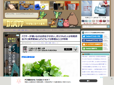 オレ的ゲーム速報 刃