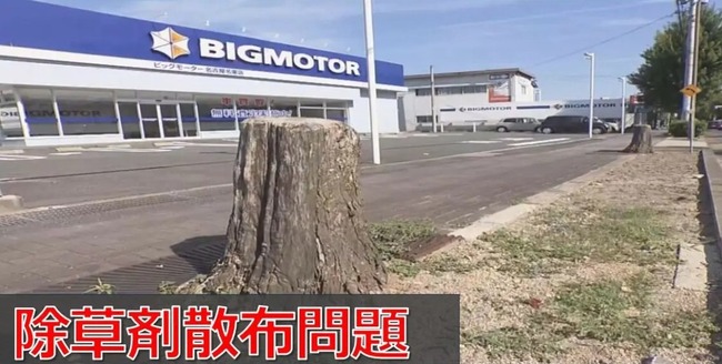 ビッグモーター　沿道　街路樹　雑草　除草剤に関連した画像-01