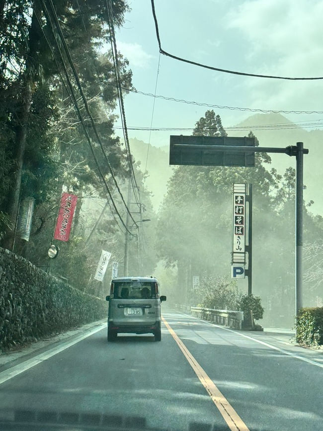花粉 花粉症 飛散 飛散量 スギ花粉 大量 グラフに関連した画像-02