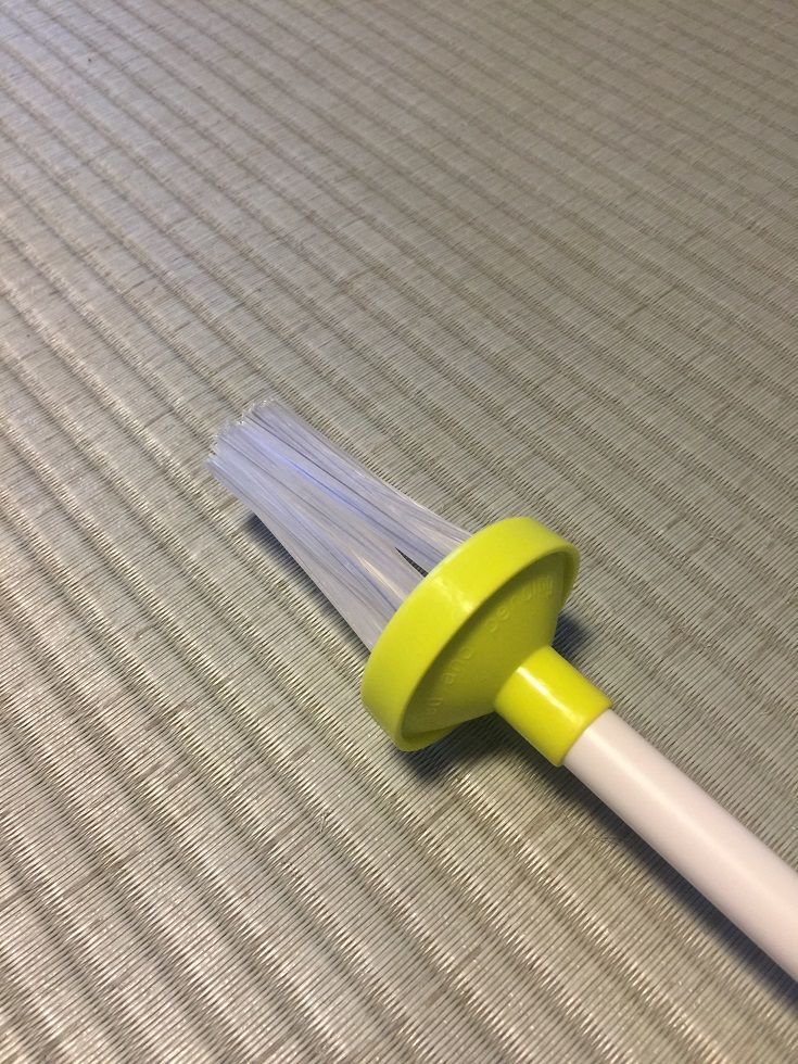 部屋の中に出た虫の対応 虫虫ゲッターと虫取り網のススメ 神奈川県第三部青年会