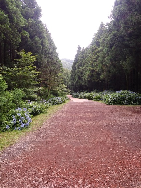 20190701_104527_HDR