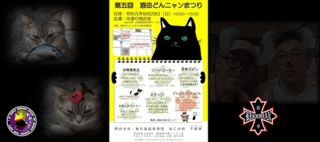 どんニャンまつり2019 j