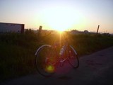 DSCN3520