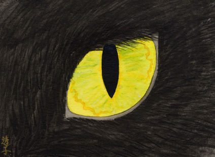 c003blackcats-eye