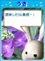 美味しそうな