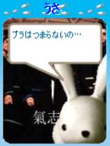 ブラは