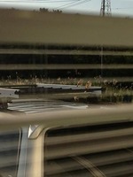 IMG_1057