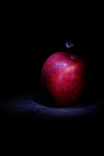 2100237760_6112f727f2