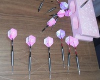 DSCF4526