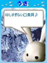 珍しすぎない…