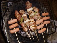 DSCN6066
