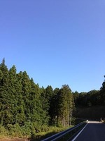 IMG_1282