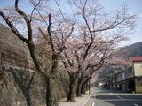 DSCN2729