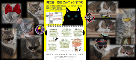どんニャンまつり2019 e