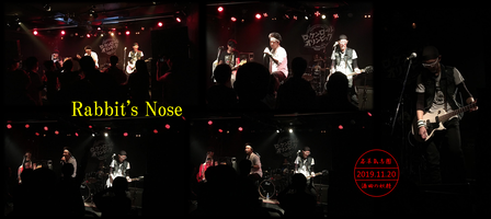 Rabbit's Nose