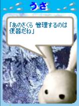 あのさくら