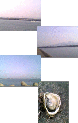 61c61c1c.gif