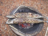 DSCN6064