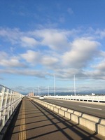 IMG_2959