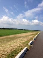 IMG_3956
