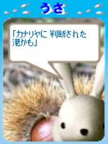 カナリヤに…