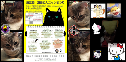 どんニャンまつり