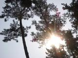 DSCN2719