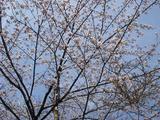 DSCN2730
