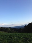 IMG_3878