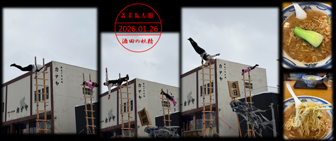 kdmr2