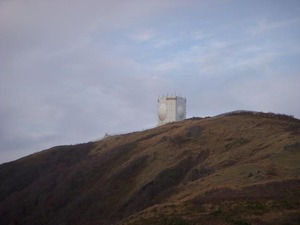DSCN6871