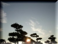 DSCN5815