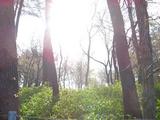 DSCN2810