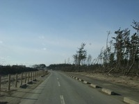 DSCN7082