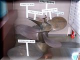 DSCN4843