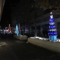 IMG_5526