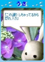 この通り