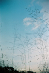 大人の科学　二眼レフカメラ