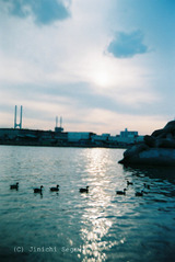 大人の科学　二眼レフカメラ