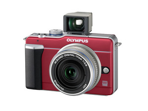 20100518j11_E-PL1+17mm+VF-1_Left_Red