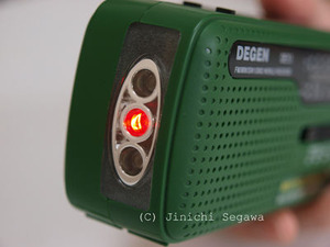 DE13