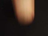 夏期講習3回