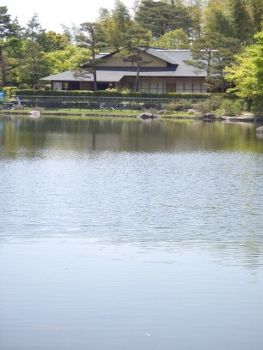 IMGP0034 (263x350)